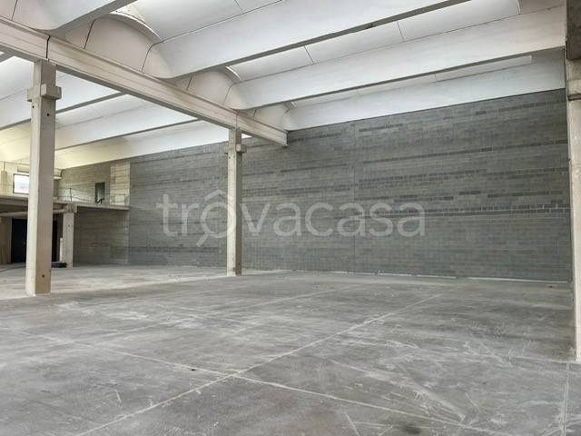 immagine annuncio 3 di 6