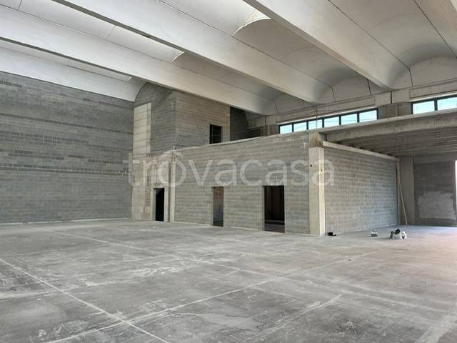 immagine annuncio 2 di 6