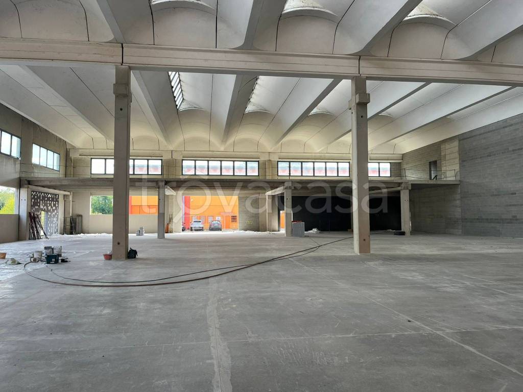 immagine annuncio 5 di 6