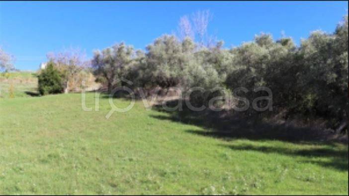 immagine annuncio 2 di 4