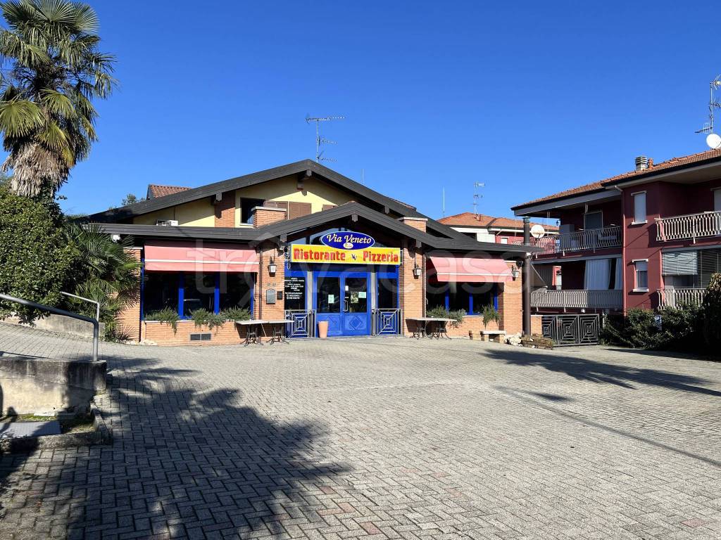 immagine annuncio 2 di 14