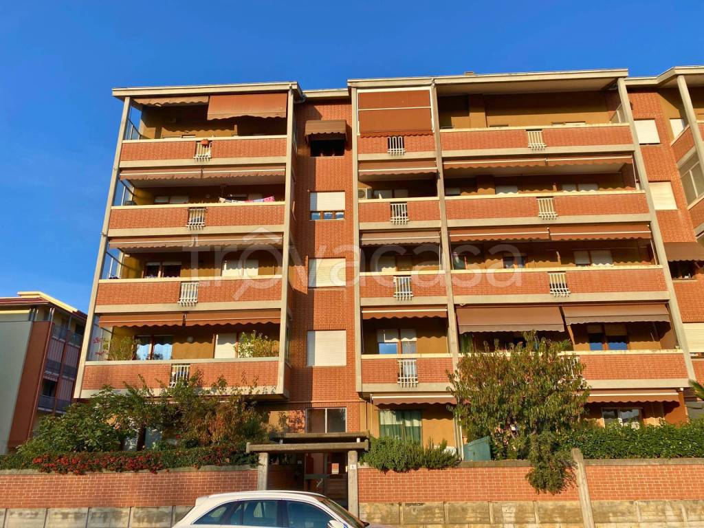 immagine annuncio 1 di 12