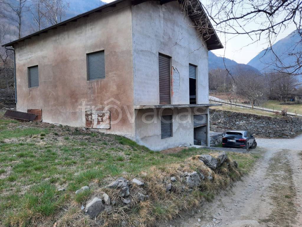 immagine annuncio 2 di 6