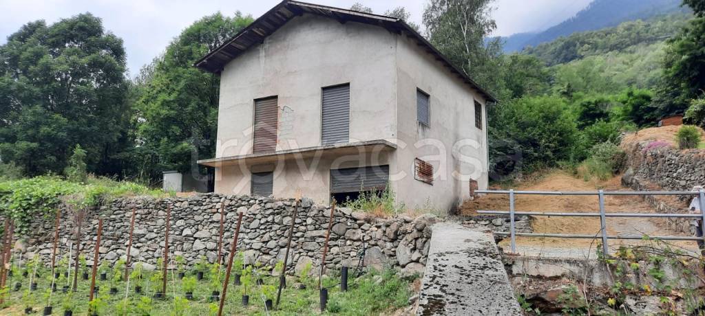 immagine annuncio 1 di 6