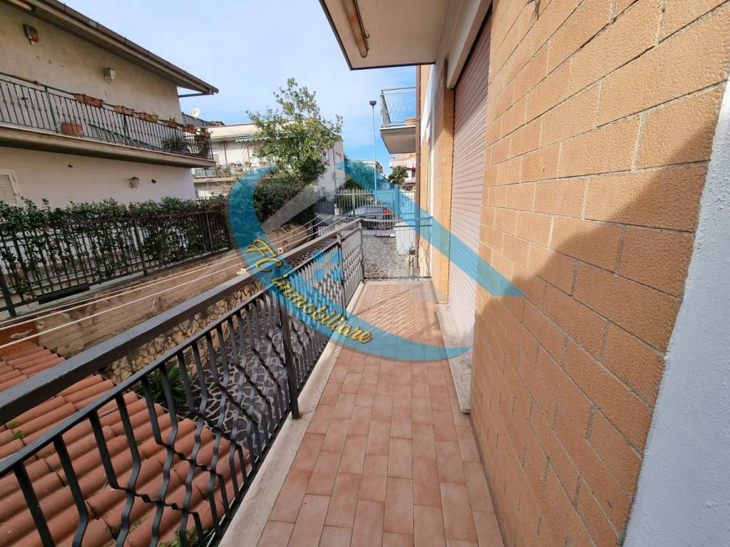 immagine annuncio 12 di 14