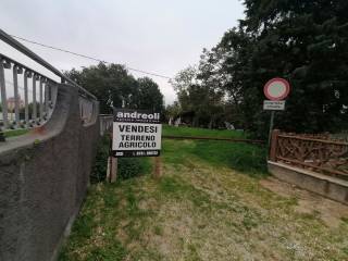 Terreno agricolo in vendita a jesi 