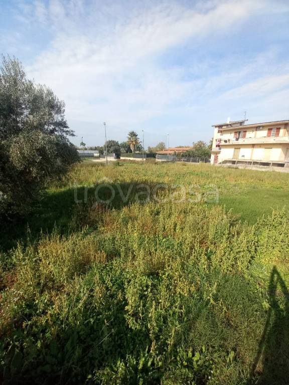 immagine annuncio 11 di 13