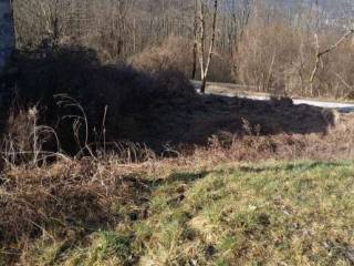 Terreno agricolo all'asta ad alpago loc. case piazza