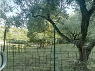 Terreno agricolo all'asta a ferentino via croce tani fumone