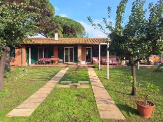 Villa in in affitto da privato a ladispoli via aurelia, 78