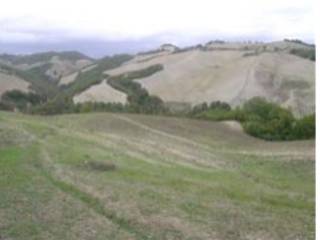 Terreno agricolo all'asta a urbino via san lorenzo in cerquetobono