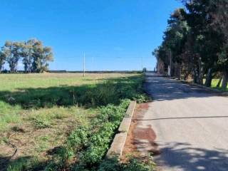 Terreno residenziale in vendita a fiumefreddo di sicilia strada provinciale riposto schisò