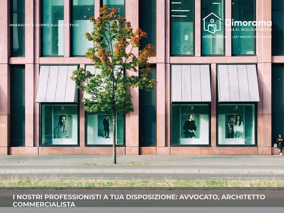 immagine annuncio 6 di 8