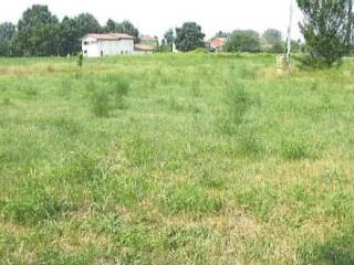 Terreno agricolo all'asta a medolla via statale