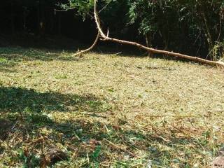 Terreno agricolo in affitto a ponteranica 