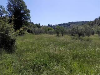 Terreno residenziale in vendita a terni 