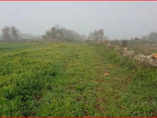 Terreno agricolo all'asta a corigliano d'otranto via ghermidita