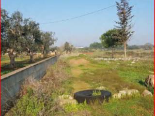 Terreno agricolo all'asta a corigliano d'otranto via ghermidita