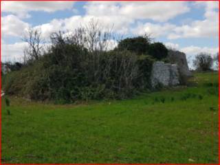 Terreno agricolo all'asta a corigliano d'otranto sp35