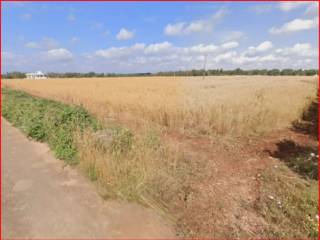 Terreno agricolo all'asta a corigliano d'otranto strada comunale stronghila iii