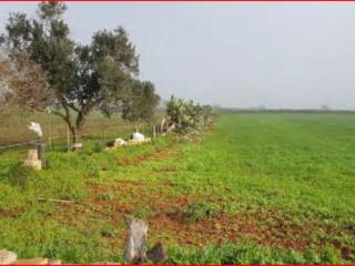 Terreno agricolo all'asta a corigliano d'otranto via ghermidita