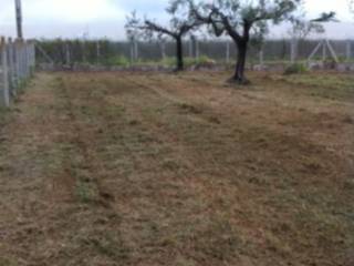 Terreno agricolo in vendita a velletri via vecchia di napoli, 54