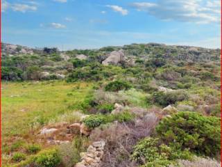 Terreno agricolo all'asta a santa teresa gallura strada punta falcone