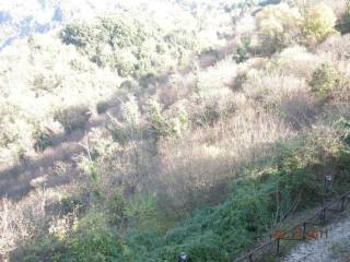 Terreno agricolo all'asta a nemi via di perino