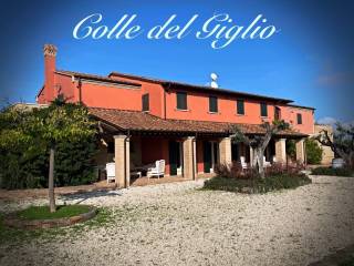 Villa in in vendita da privato a ripatransone contrada colle del giglio