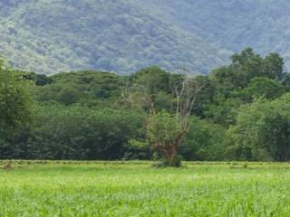 Terreno agricolo all'asta a lugagnano val d'arda lugagnano val d'arda