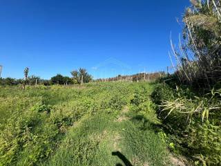 Terreno agricolo in affitto a pozzuoli via scalandrone