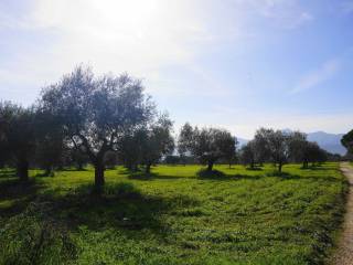 Terreno agricolo in vendita a venafro variante di venafro, snc