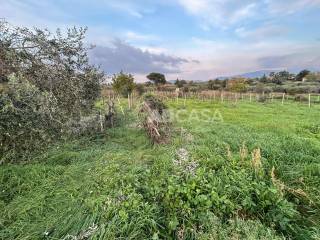 Terreno agricolo in vendita a velletri via castel ginnetti