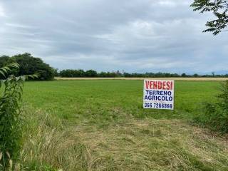 Terreno agricolo in vendita a urgnano senter de l'orgnana