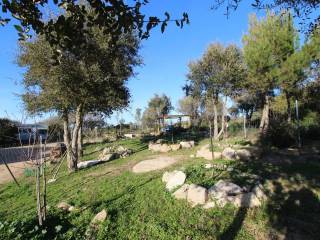 Terreno agricolo in vendita a tempio pausania loc. san giovanni di liscia s.n.c.