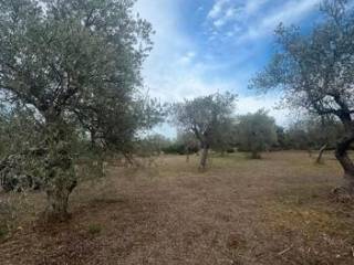 Terreno residenziale in vendita a sassari 