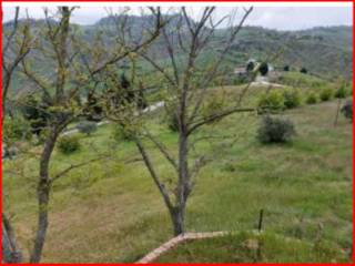 Terreno residenziale all'asta a borghi via gorolo