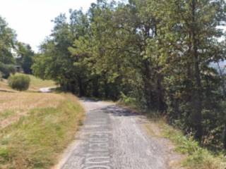 Terreno agricolo all'asta a tolentino contrada san martino