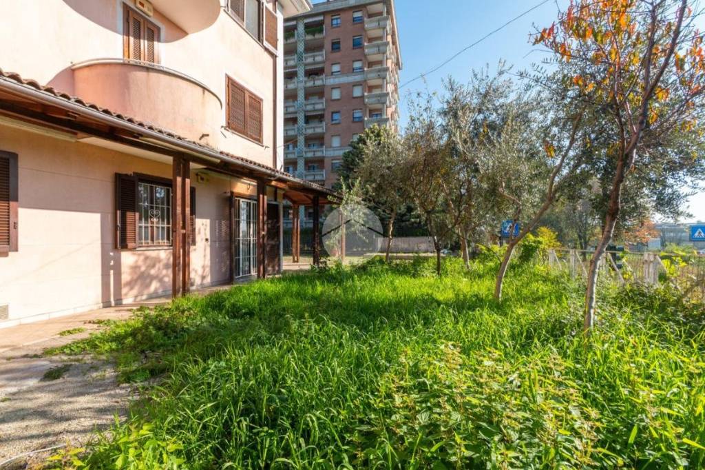 immagine annuncio 2 di 15