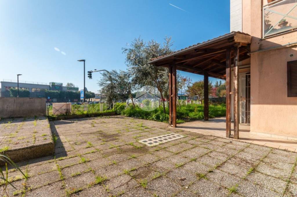 immagine annuncio 6 di 15