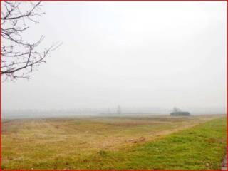 Terreno agricolo all'asta a malalbergo via lavinia fontana