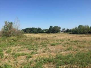 Terreno agricolo all'asta a vigevano strada cascine barbavara, snc