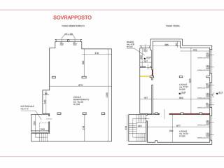 Negozio in affitto a prato 