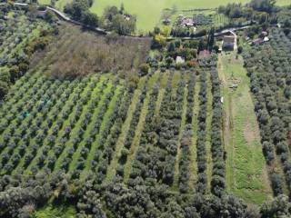 Terreno agricolo in vendita a montopoli di sabina via pantani, 54