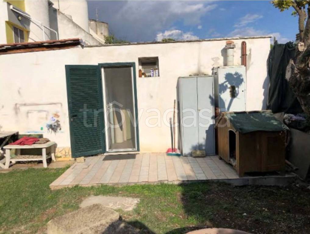 immagine annuncio 8 di 11