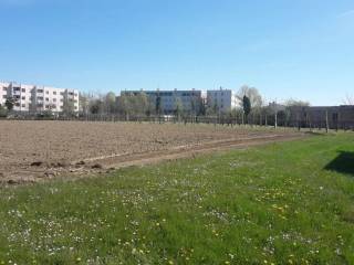 Terreno agricolo in vendita a portogruaro via palazzine