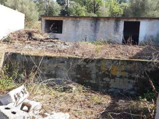 Terreno agricolo in vendita a tortolì perd mirai s.n.c. sn