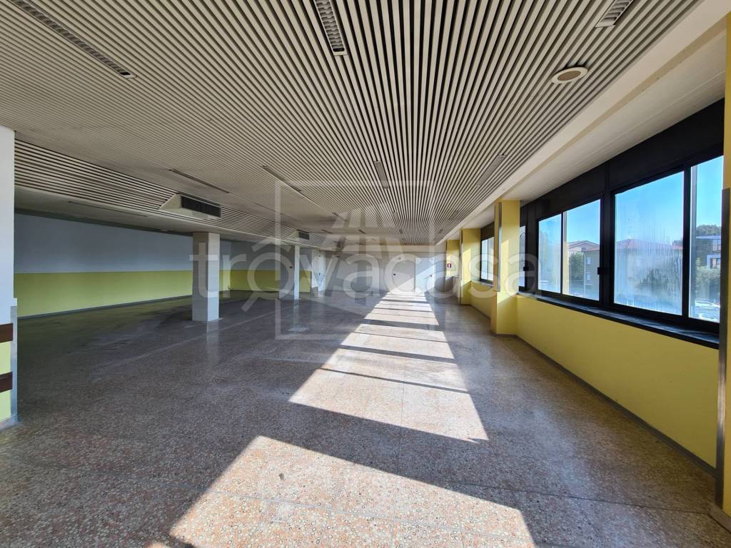 immagine annuncio 8 di 14