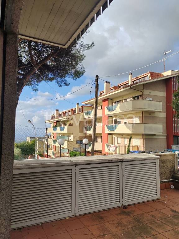 immagine annuncio 5 di 7