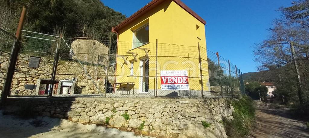 immagine annuncio 2 di 9